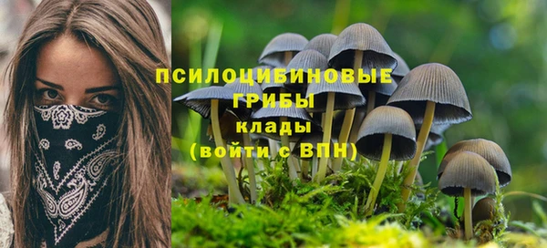 кокаин премиум Богородицк
