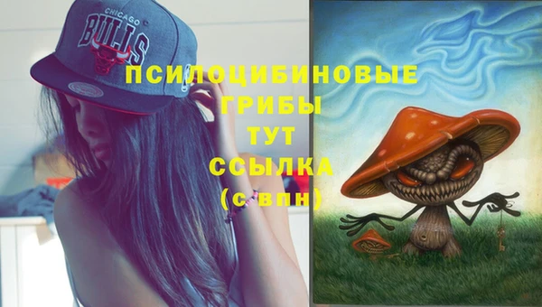 jwh Богданович